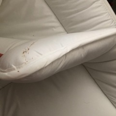 ★ニトリシングル敷布団★カバー付きの画像