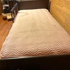 屋久杉の鷹の画像