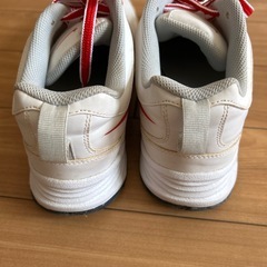 靴NIKE　の画像
