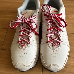 靴NIKE　の画像