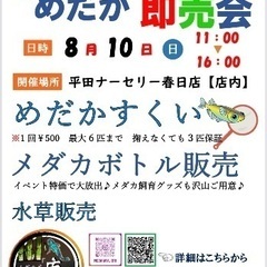 メダカ屋「庵」イベント開催 in平田ナーセリー春日店