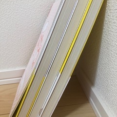 【3冊セット】わたなぺぽん　スリム美人の本の画像