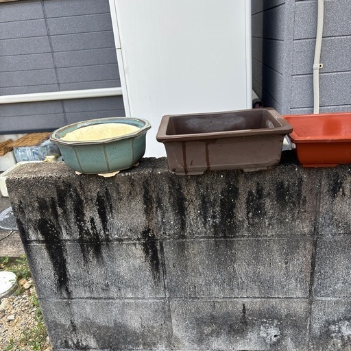 植木鉢3点 (りん) 唐津のその他の中古あげます・譲ります