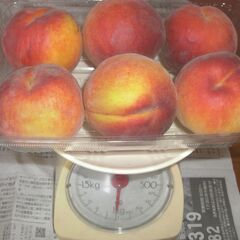 受付終了・・桃　皮が薄いので洗ってそのままガブリ　固い食感　1キロの画像