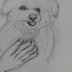 描いて欲しいイラストありますか？の画像