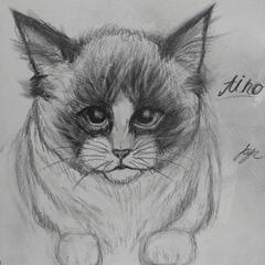描いて欲しいイラストありますか？の画像