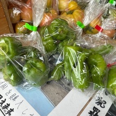 朝取立て　野菜の画像