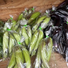 朝取立て　野菜の画像
