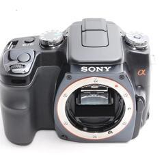 ★夏を写真に刻め★SONY α 200レンズキット★おまけ付き★の画像