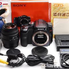 ★夏を写真に刻め★SONY α 200レンズキット★おまけ付き★の画像