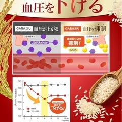 カロバーンα 30日分の画像