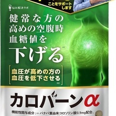 カロバーンα 30日分の画像