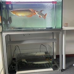 ガラス水槽セットの画像