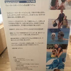 SEADOO(シードゥ) 水中スクーター  シースクーター ドルフィンの画像