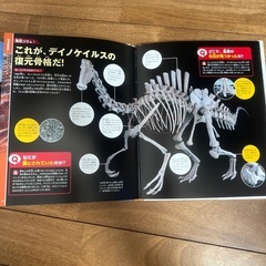 講談社の動く図鑑　恐竜1,2の画像