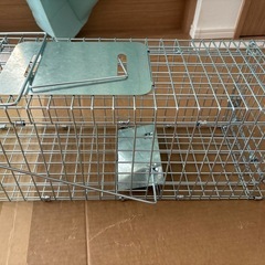 中国製捕獲器の画像