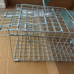 中国製捕獲器の画像