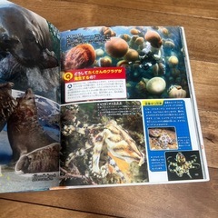 講談社の動く図鑑　危険生物の画像