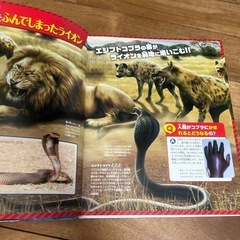 講談社の動く図鑑　危険生物の画像