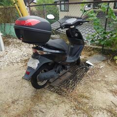 HONDA　Dio  AF62 実動車の画像