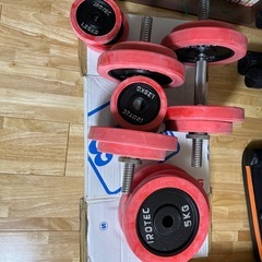 トレーニングベンチ・ダンベルの画像