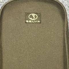 ベース　格安　セミハードケースのみ　引き取り希望②の画像