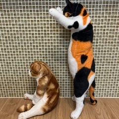 譲りします　座り猫　立ち猫の画像