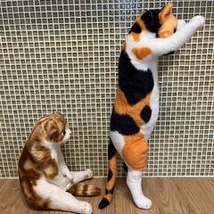 譲りします　座り猫　立ち猫の画像