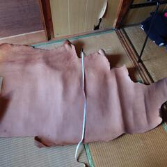 牛革の画像