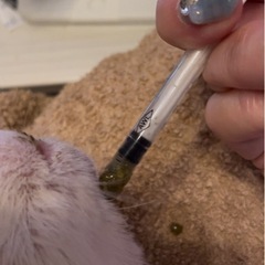 TERUMO テルモシリンジ1ml を5本　写真追加の画像