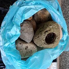 園芸用小物１式の画像