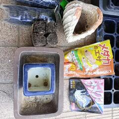 園芸用小物１式の画像