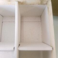 茶器セット 未使用品 箱ありの画像
