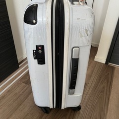 機内持ち込み可能スーツケースの画像