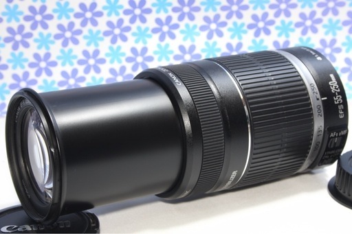Canon EF-S 55-250mm IS Ⅱ♥手振れ補正♥望遠レンズ♥純正品 極美品☆Canon EF-S 55-250mm IS☆望遠レンズ☆手振れ補正
