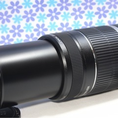 ✨美品✨キヤノン 望遠 EF-S 55-250mm IS 手振れ補正 フード付き ✨美品✨手振れ補正付✨Canon EF-S 55-250mm F4-5.6 IS - メルカリ