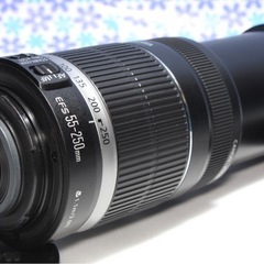 極美品☆Canon EF-S 55-250mm IS☆望遠レンズ☆手振れ補正