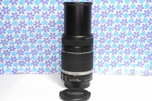 Canon 55-250mm IS II⭐ 望遠レンズ⭐手ブレ補正 コスパ最強 コスパ最強⭐望遠レンズ⭐Canon 55-250mm IS II 手ブレ補正⭐