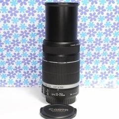 ★Canon EF-S 55-250mm IS Ⅱ★手ぶれ補正●純正望遠レンズ 望遠レンズ⭐️Canon EF-S 55-250mm IS 手ぶれ補正 キヤノン