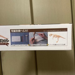 恐竜化石発掘の画像