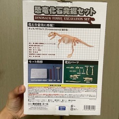 恐竜化石発掘の画像