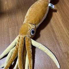 ダイオウイカ🦑の画像