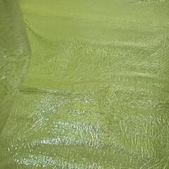 0806-119 保冷バッグの画像