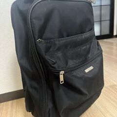 車輪付きバックパックの画像
