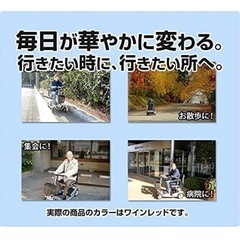シニアカーの画像