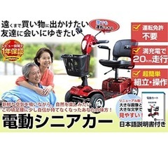 シニアカーの画像