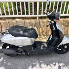 原付　バイク　ホンダ　トゥデイ　の画像