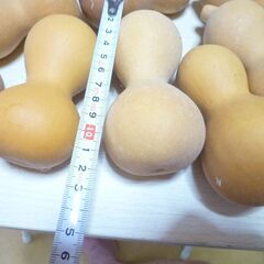 瓢箪（ひょうたん）17個の画像