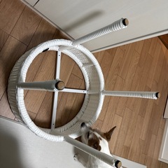 【美品】サイドテーブルの画像