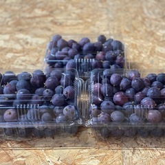 残り1パック✨【1.5kgパック🍇✨】つぶつぶピオーネお徳用！！の画像